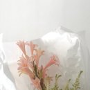 언써플라워