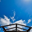 남생이못 습지생태 관찰원 이미지