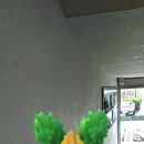 벌말공원2 이미지