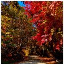 대지로 3번길 | [경기/오산] 경기도 가볼만한 곳 독산성, 세마대지,보적사