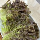 좌동재래시장 이미지