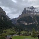 구름따라 그곳에가면 | 10월 황금연휴 스위스 여행 4일 - 그린델발트에서 루체른(파노라마 열차, 루체른 무료 기념품)