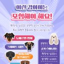 하나동물병원 이미지