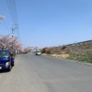 비슬로63길 이미지