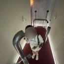 용두산공원 광장 이미지