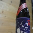 주식회사 거북 이미지