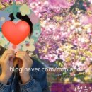 푸른피아노학원 이미지