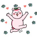 주문진셀프세차장 이미지