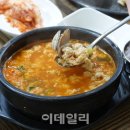 해콩이네