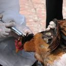 나라한농장 이미지