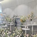 호텔베르 | 영등포 웨딩홀 더베르지 더베르G 뷔페 홀 분위기 하객 후기