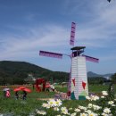 양귀비 - 평택시 통복시장2로29번길 25 | 양귀비