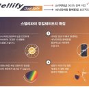 파이안경점 이미지