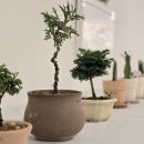 인천삼산실내교통교육장 | 인천 부평 꽃집 벨로플라워 소규모 원데이클래스 추천