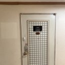오띠모S라인 | [공지] 성수 오띠모 체형 골격 진단 후기, 맞춤핏 찾는 결정적 계기가 된 경험담