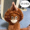 (주)감성타코 건대점 이미지