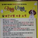 버블펫 이미지