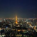 [공지] 도쿄 여행 2박3일 코스, 도쿄 간단정리 + 팀랩 보더리스