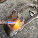 한창정비공업사 이미지