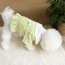예쁨중DOG | 강아지 티셔츠 카라 리본 단가라 프릴 데일리 봄옷