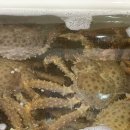 대흥장여관 이미지