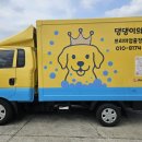 댕댕이의 품격 이미지