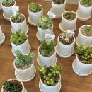 너와나의케이크 | 대구 동성로 꽃집 ‘너와 나의 봄’ 상품 종류 주문 방법