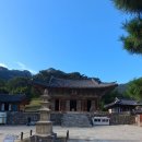 느티나무길>금강공원길 이미지