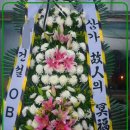 우리꽃배달 이미지