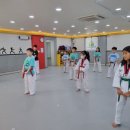 미소나무태권도장(줄기관) 이미지