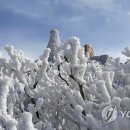 태백산주유소
