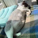 숲냥숲냥 이미지