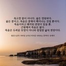눈부신하루를 Daum카페