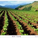 삼척오리마을 이미지