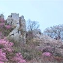 나답게 사는 삶 / 靑山 손병흥 이미지