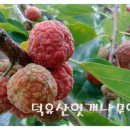 여주-0929 이미지