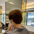다엘헤어 하단점 이미지