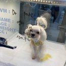 메이 동물병원 이미지