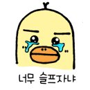 프레드피자 서면점