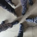 서울이엔지 주식회사 이미지