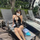 도산오장 이미지