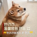 미래펫 동물병원 | 강아지 예방접종 어플 인투펫 실제 사용 기록｜내 반려견이 보내온 편지