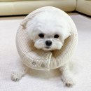 로또야놀자 네이버블로그