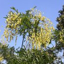 수산진성 이미지