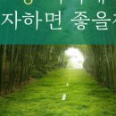 114개발 이미지