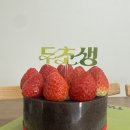 투썸플레이스 두바이초코생크림 두초생 5번의 시도 끝에 나도 성공해본 후기..(두친자 아님)