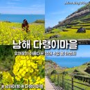 남면로-2 이미지