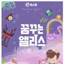 앨리스소풍