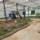 동우환경 | 조경공사 나무식재 전지 정원 디딤돌 연못공사 동우조경