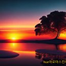 슈바이쳐약국 이미지